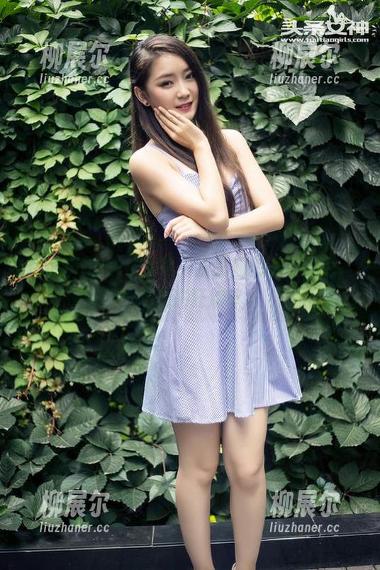 TouTiao头条女神 - 查莉娅的圣诞图包，一场色彩狂欢节。